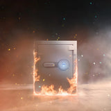 Barska 1.64 CUBIC FT Biometric Fireproof Safe, Grey
