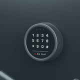 DOMAIN 5540 Safe